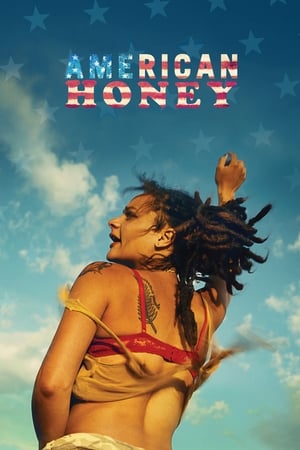 American Honey (2016) Hindi Dual Audio [1.4GB]