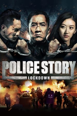 Police Story: Lockdown (2013) Hindi Dual Audio [1GB]