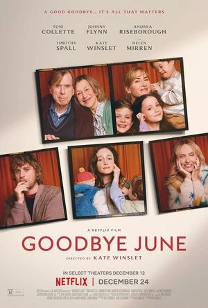 Goodbye June 2025 Hindi Dual Audio
