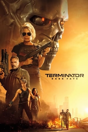 Terminator: Dark Fate (2019) Hindi (Org) Dual Audio 400MB